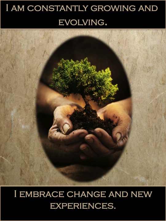 Affirmation tree evolve eng