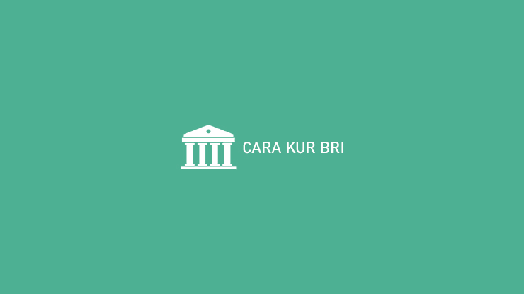 Cara Kur Bri