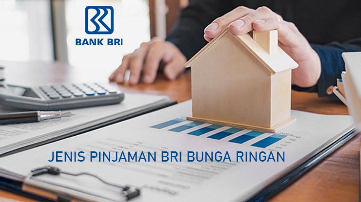 Jenis Pinjaman Bri Bunga Ringan