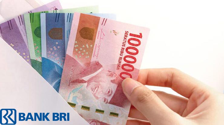 Jenis Pinjaman Bri Pns 2021