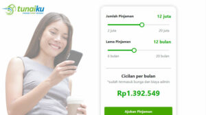 Cek Status Pinjaman Tunaiku3