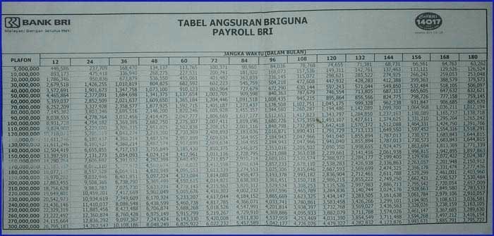 Tabel Angsuran Pinjaman BRI 100 Juta 03