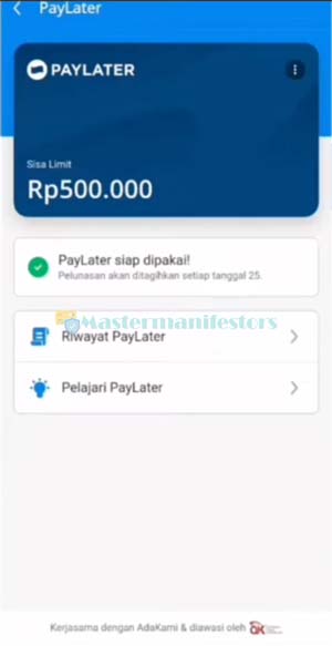 9. Berhasil Aktifkan DANA Paylater