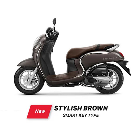 Stylish Brown Terbaru