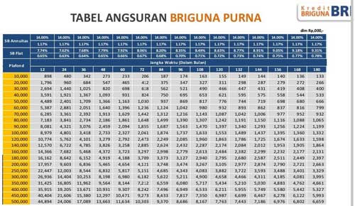 2. Tabel BRI Purna 1