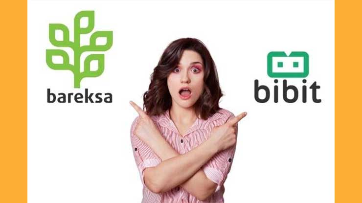 Bareksa vs Bibit